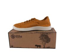 Natural World Basquet Sport Curry 39