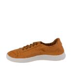 Natural World Basquet Sport Curry 40